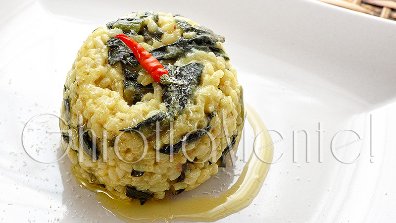 risotto-cicoria-zafferano4