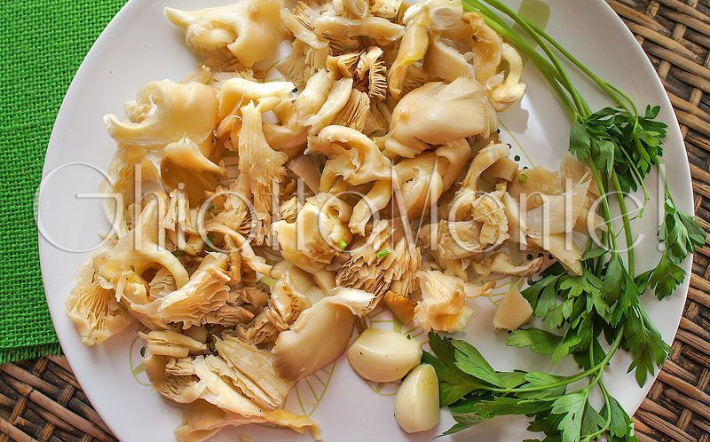 spaghettini-funghi-pleurotus-01-800
